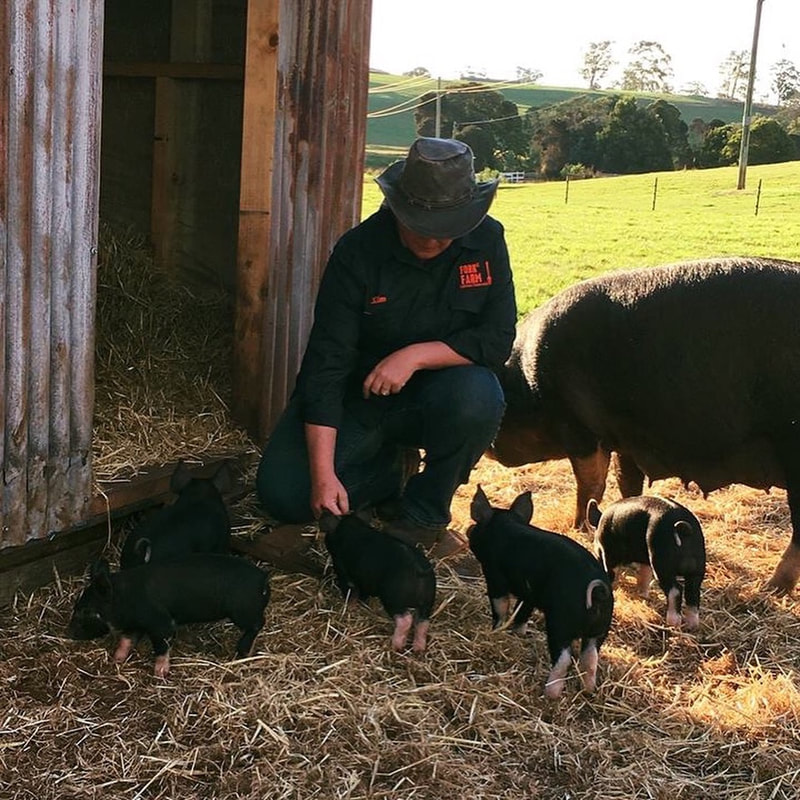 A farmer from Fork it FARM sitting with a litter of black piglets, demonstrating the hands-on animal encounters at this Tasmanian farmstay.